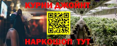 крисы Камышлов